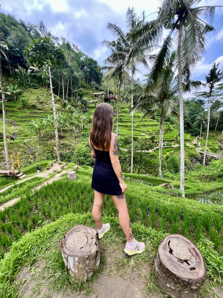 Risaie di Tegalalang