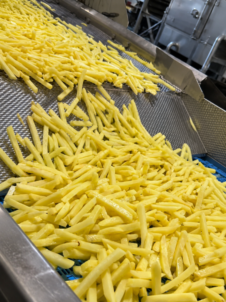 dalla farm australiana alla fabbrica di patatine fritte nella mia esperienza del working holiday Australia