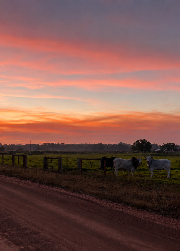 le farm con il working holiday Australia